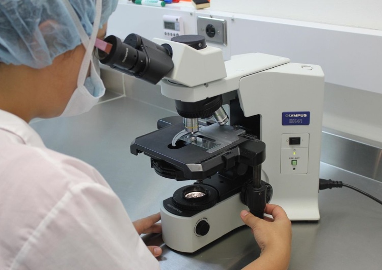laboratorium, zdj. ilustr. Nowe informacje ws. ogniska cholery. GIS wydał komunikat