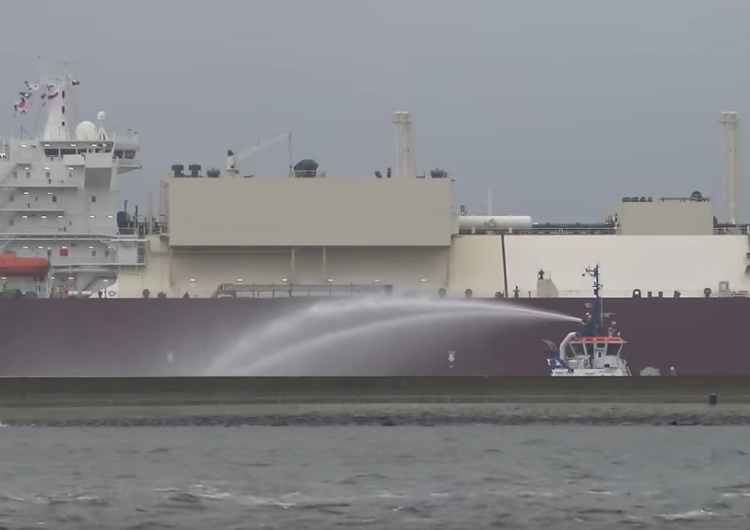 Port w Świnoujściu W porcie w Świnoujściu dryfuje 12-metrowy wieloryb