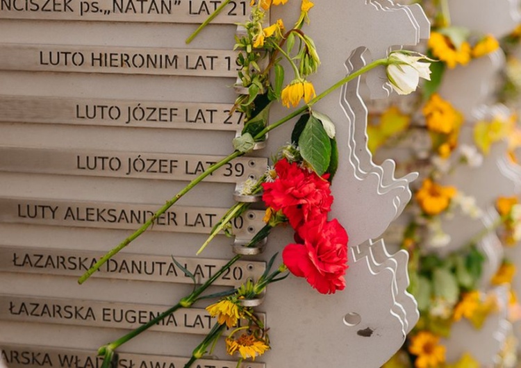instytut Pileckiego Środki zabrane Instytutowi Pileckiego przekazane do TVP w likwidacji