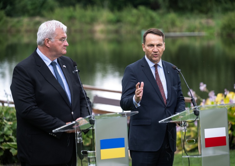 Andrij Sybiha, Radosław Sikorski Ukraina zwróciła się do Polski o kredyt na zakup polskiego uzbrojenia