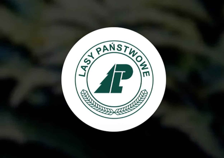 Lasy Państwowe – logo Dyrektor generalny Lasów Państwowych odwołany