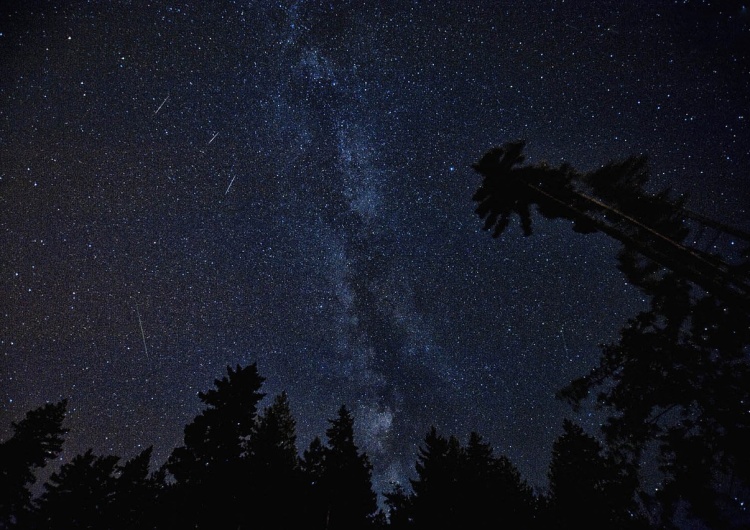 Zdj. ilustracyjne Noc Perseidów. 100 meteorów na godzinę