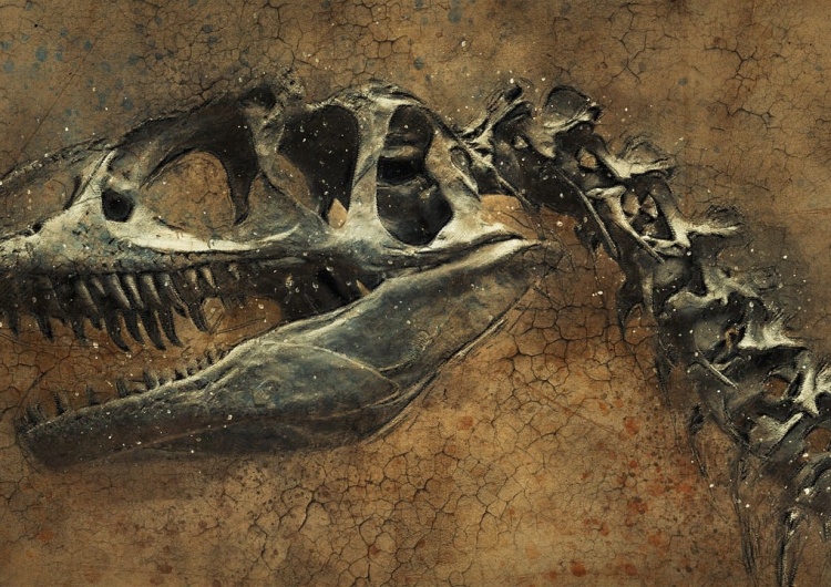 Szczątki dinozaura - zdjęcie ilustracyjne Nowy gatunek dinozaura odkryty na brytyjskiej wyspie