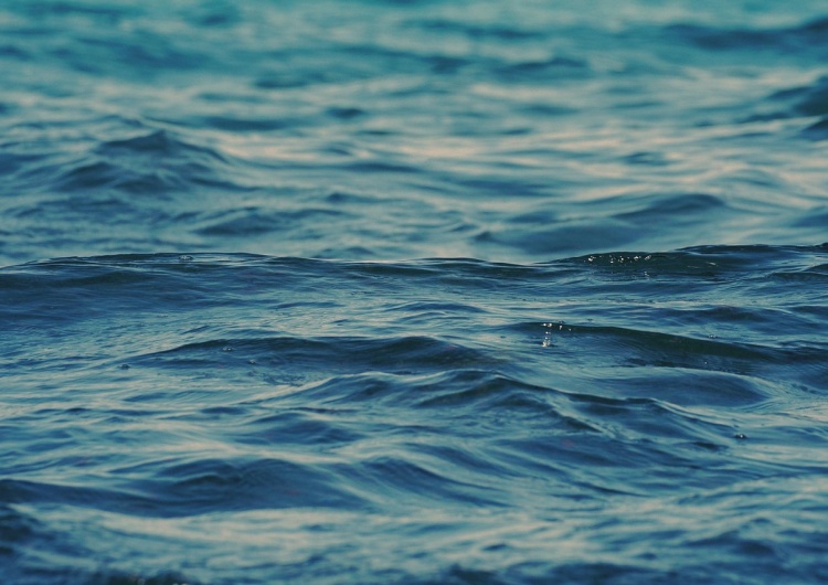 Ocean Tajemnicze beczki na dnie Pacyfiku. Zaskakujące wyniki badań