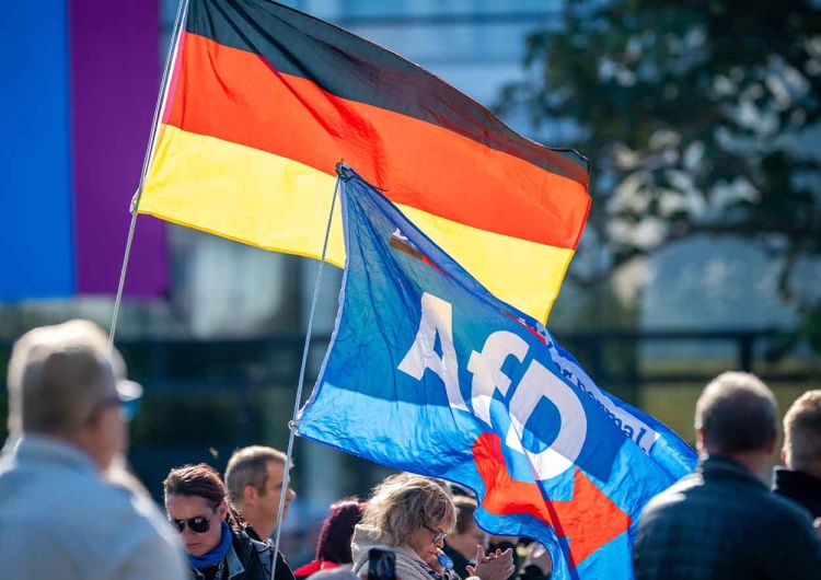 AfD notuje najwyższe poparcie w historii badań pracowni INSA Rekordowy wynik AfD. Nowy sondaż w Niemczech
