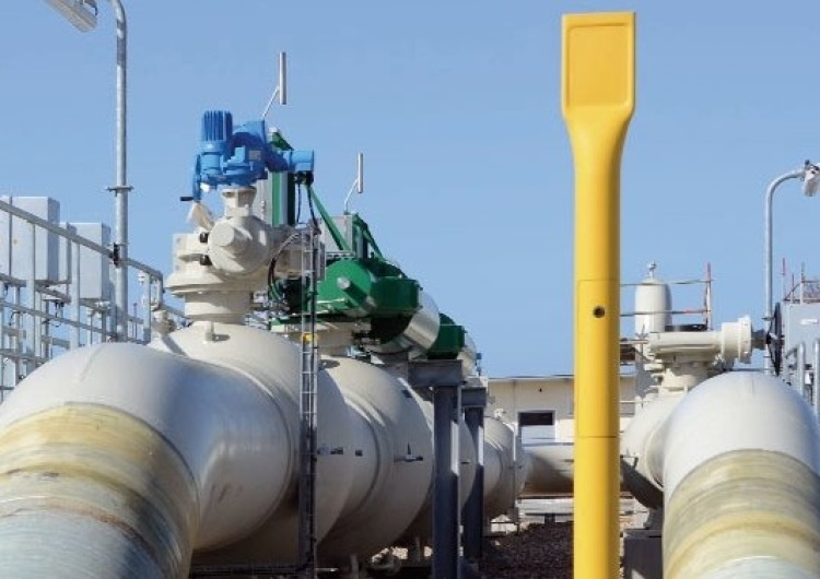 Nord Stream Podejrzany o wysadzenie Nord Stream zostanie poddany ekstradycji? Jest decyzja włoskiego SN