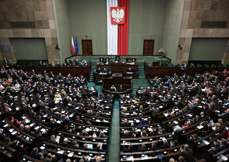 Sejm przegłosował zakaz hodowli zwierząt na futra Zakaz hodowli zwierząt na futra. Jest decyzja Sejmu