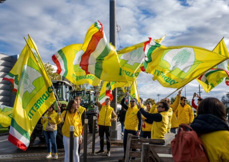Węgierscy rolnicy protestowali w Strasburgu Węgierskie organizacje rolnicze odrzucają umowę o wolnym handlu UE z Ukrainą. „Stanowi zagrożenie dla bezpieczeństwa żywności”