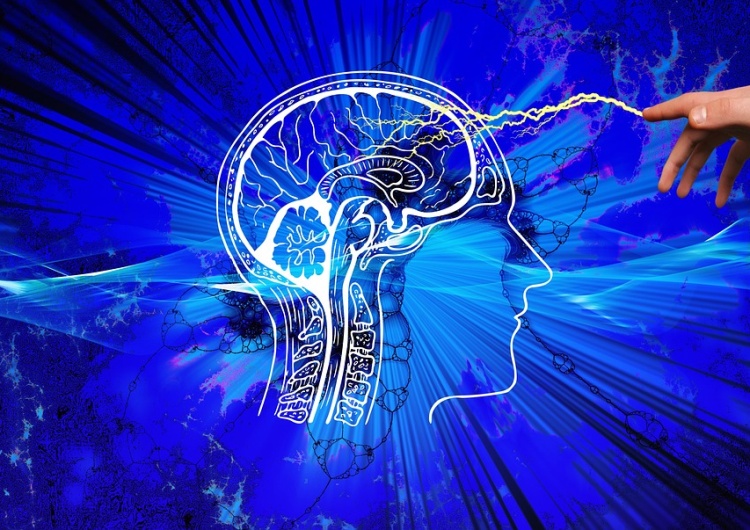 mózg/grafika poglądowa [Tylko u nas] Aleksandra Jakubiak OV: Czy jesteś swoim mózgiem?