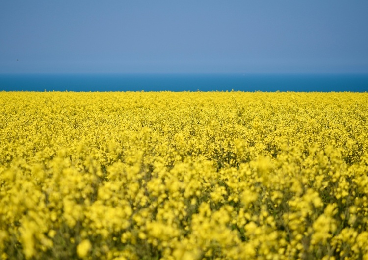 Zdjęcie ilustracyjne Od dziś obowiązuje liberalizacja handlu UE z Ukrainą. Polska będzie przestrzegała umowy zawartej przez KE