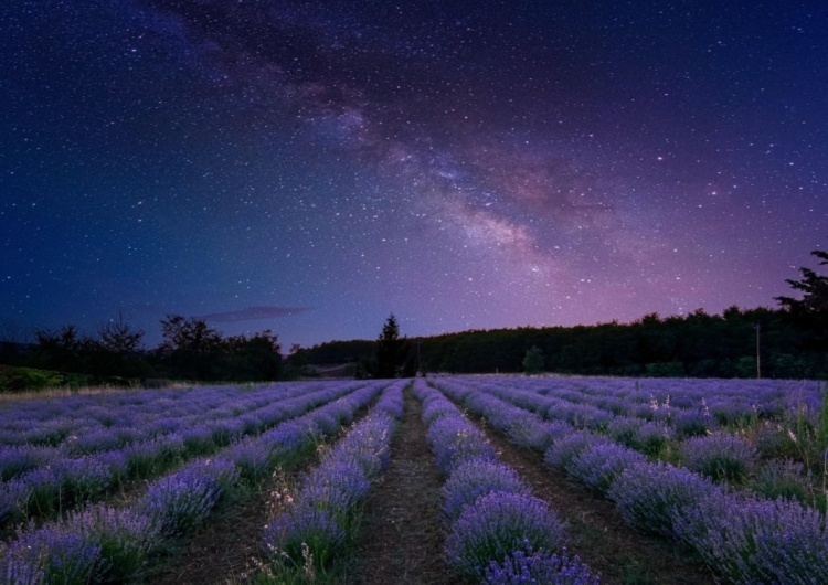 Gwiazdy niebo Niezwykłe zjawisko astronomiczne. Warto się przygotować