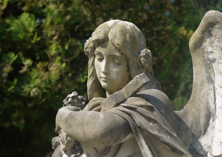 Anioł rzeźba Wizyta na cmentarzu może skończyć się mandatem. Oto czego nie wolno robić