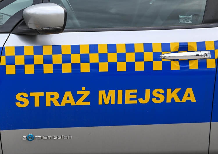 Straż miejska Strażnicy miejscy z Nysy dostaną nowe auto. Stary elektryk już nie ruszy
