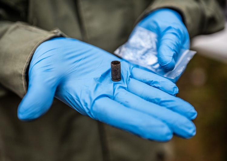 Prace archeologiczne IPN w Lesie Piaśnickim Tak Niemcy zacierali ślady swoich zbrodni. Komunikat IPN