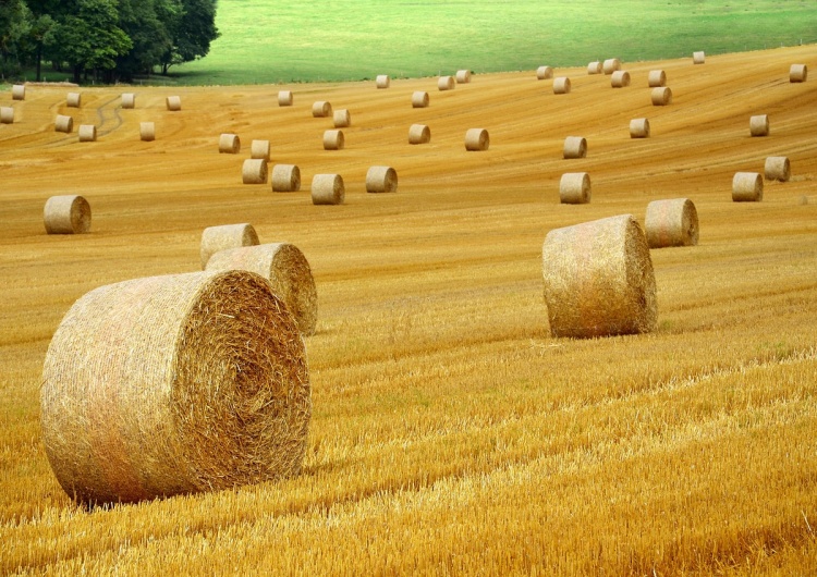 Zdjęcie ilustracyjne Grupa europosłów złożyła wniosek o opinię TSUE ws. zgodności umowy UE-Mercosur z traktatami