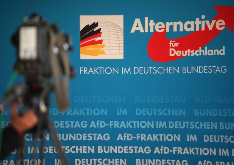 Alternatywa dla Niemiec, zdjęcie poglądowe Polityk AfD: 