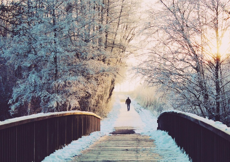 Zima Atak zimy nad Polską: nadchodzą śnieg i przymrozki