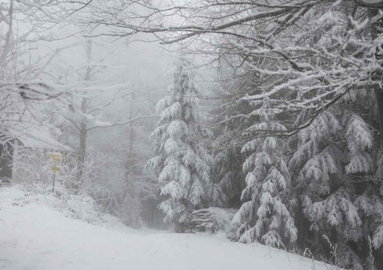 Zima Gdzie spadnie śnieg? IMGW ostrzega