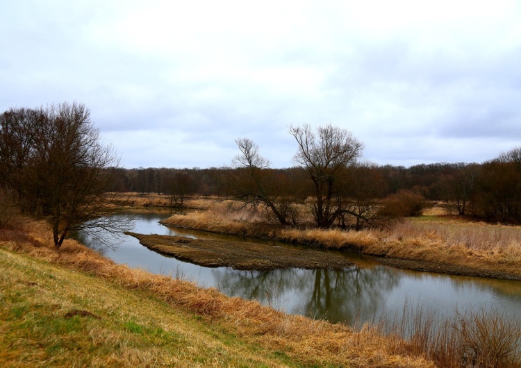 Zdjęcie ilustracyjne Niemcy rozczarowani wetem prezydenta Nawrockiego ws. parku narodowego