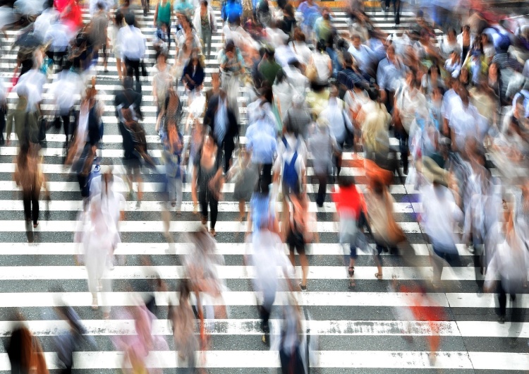 zdjęcie ilustracyjne GUS publikuje przerażającą prognozę. Ile ludzi zostanie w Polsce w 2060 roku? 