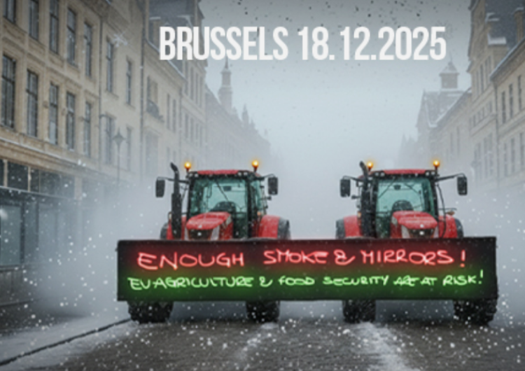 Zdjęcie ilustracyjne 10 000 rolników ma protestować w Brukseli przeciwko unijnej polityce rolnej. Copa-Cogeca wydała komunikat