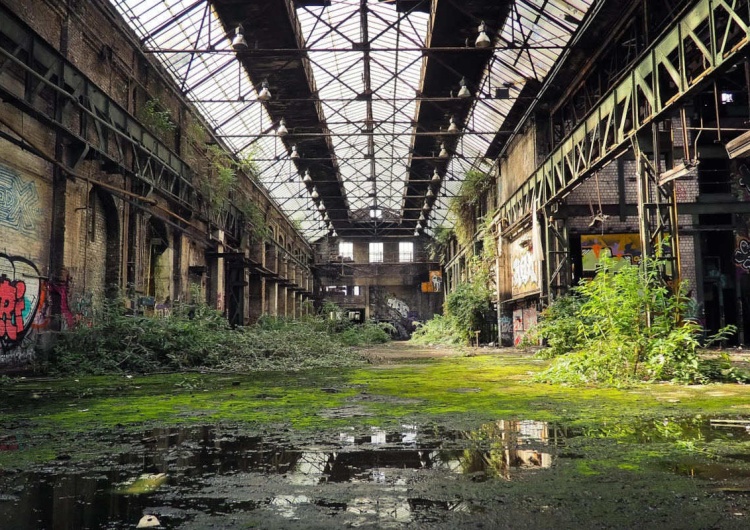 Pusta hala porośnieta roślinnością Zielony Ład to ekonomiczne harakiri. Oto dlaczego