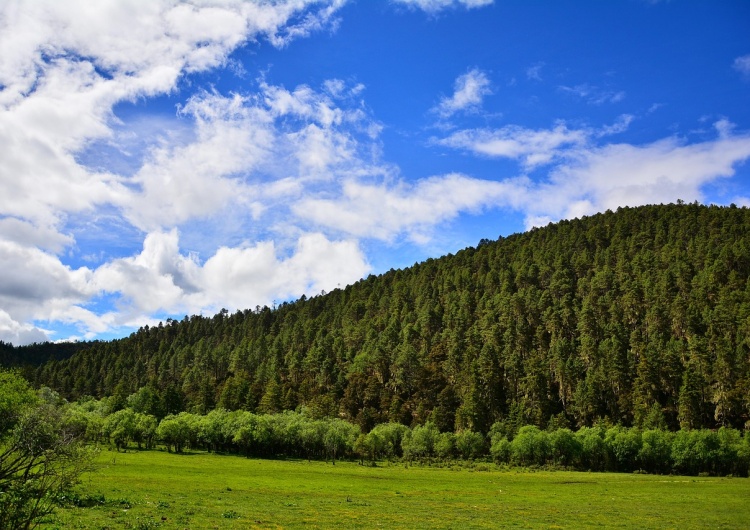 Zdjęcie ilustracyjne