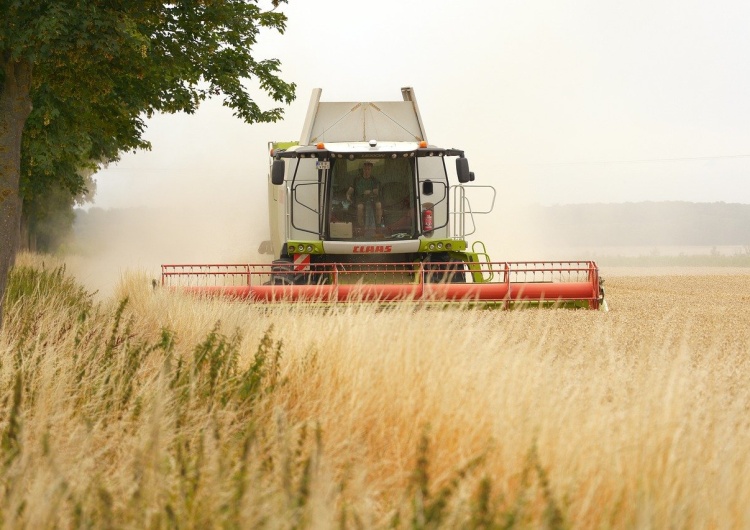 Zdjęcie ilustracyjne