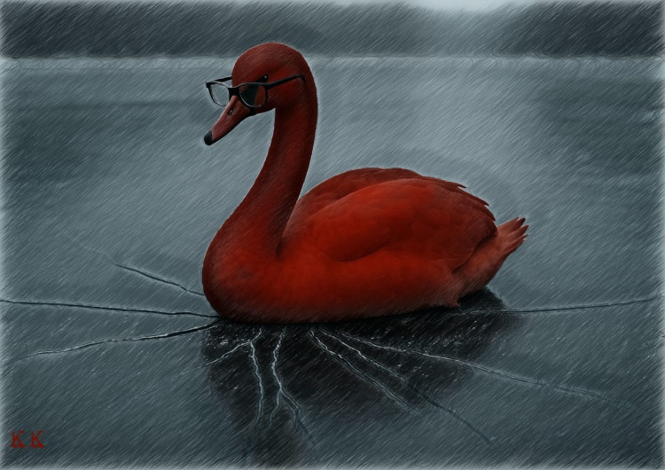 Czerwony łabędź w okularach