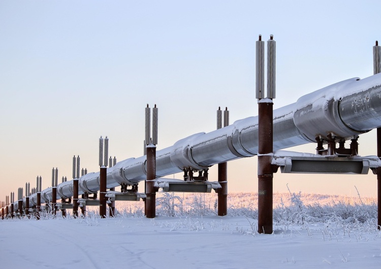 Zdjęcie ilustracyjne