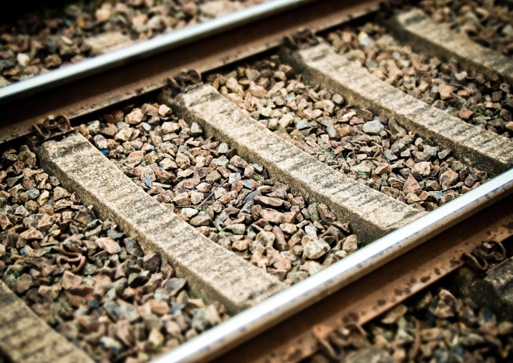 Tory / zdjęcie poglądowe