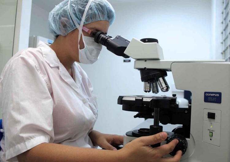 Laboratorium (zdj. ilustracyjne)