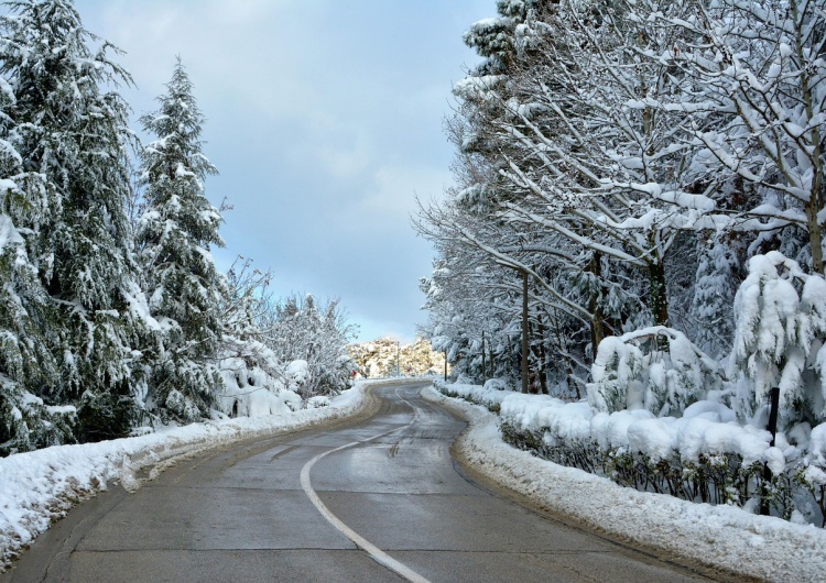 Droga / zaśnieżone drzewa