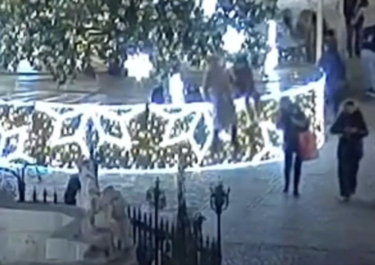 Kobiety zignorowały zakaz i wpadły pod choinkę