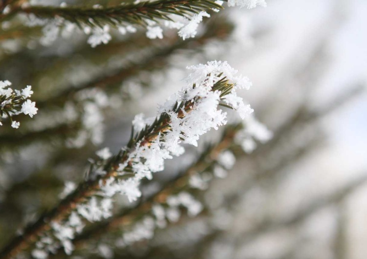Tuż przed wigilią może pojawić się śnieg. Największe szanse w górach 