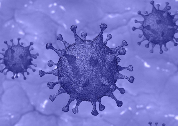  We Włoszech i Niemczech są już pierwsze zakażenia nowym wariantem koronawirusa, Omikronem