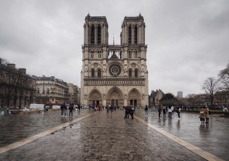 „To jakby Disney wszedł do katedry”. Zaskakujące plany odbudowy Notre Dame
