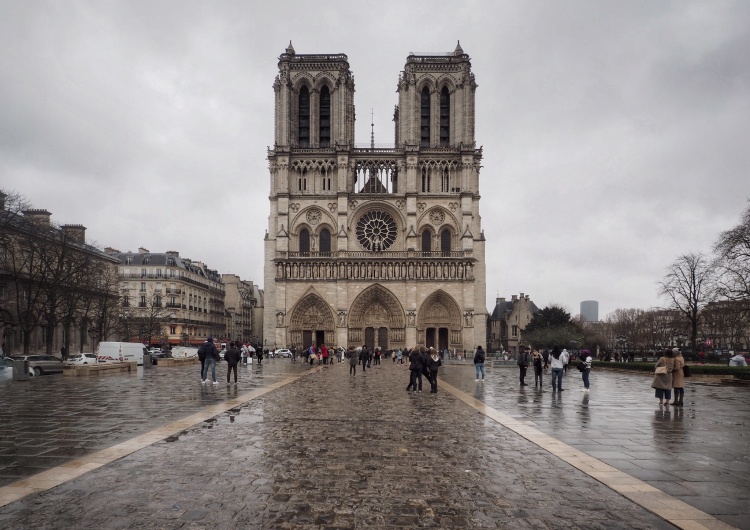 „To jakby Disney wszedł do katedry”. Zaskakujące plany odbudowy Notre Dame