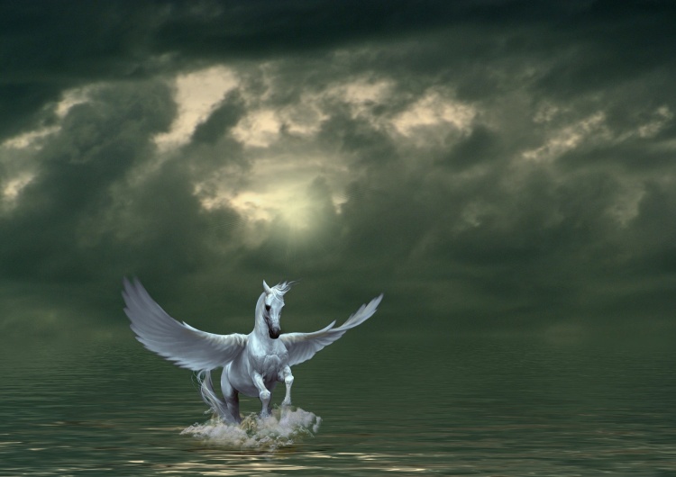 Prawy Sierpowy: Gra na Pegasusa