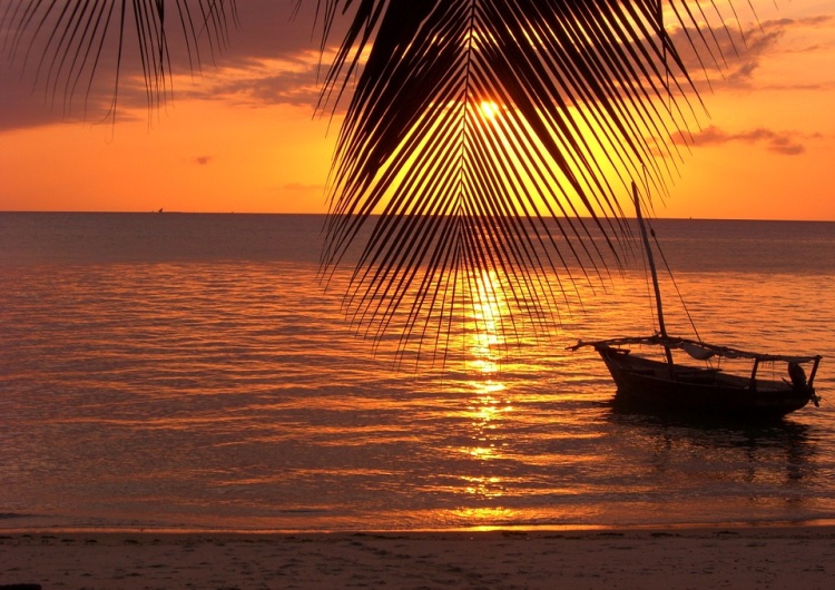 Plaża. Zanzibar Kozidrak. Kurdej-Szatan. Racewicz. Hotelarz, który zapraszał celebrytów na Zanzibar, oszustem?