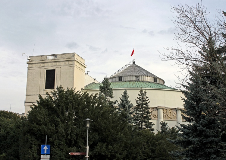 Sejm Ani PiS, ani opozycja nie utworzyłaby rządu bez Konfederacji [SONDAŻ]