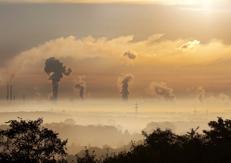 Można? Można! Hiszpanie mają sposób na obniżanie poziomu CO2 w powietrzu. Naturalny, nieuderzający w gospodarkę
