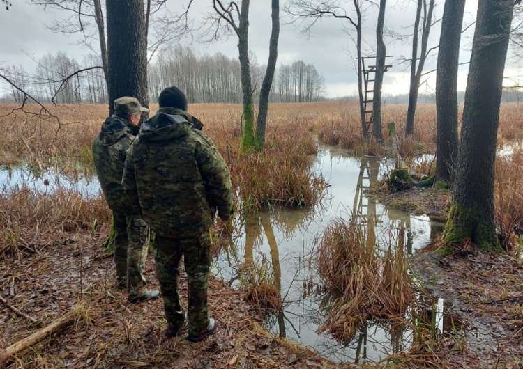 Bagna na granicy polsko-białoruskiej Imigranci na granicy polsko-białoruskiej nie odpuszczają. Mimo, że natura jest przeciwko nim