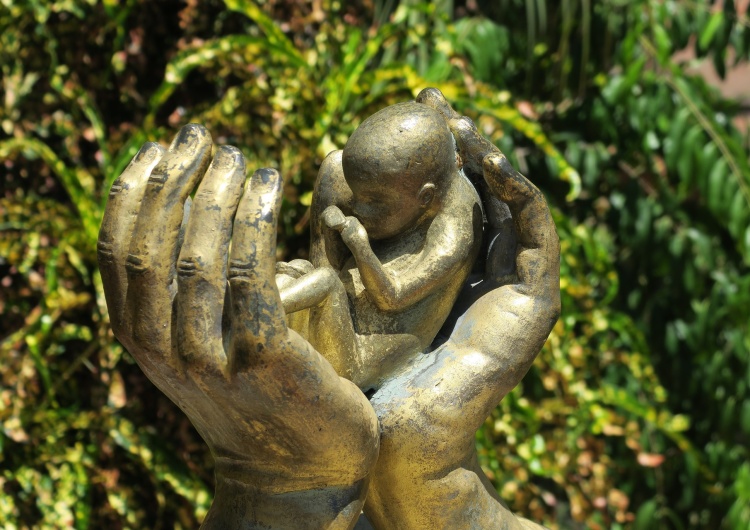 aborcja główną przyczyną śmierci Aborcja główną przyczyną śmierci na świecie w 2021 roku
