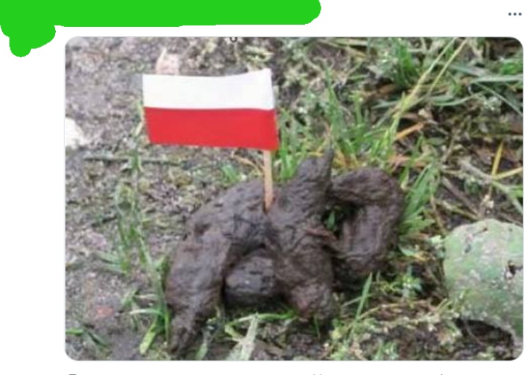 antypolska grafika „Polnische schweine”. Wrzucał grafiki przedstawiające JPII podcierającego się polską flagą. Będzie miał kłopoty
