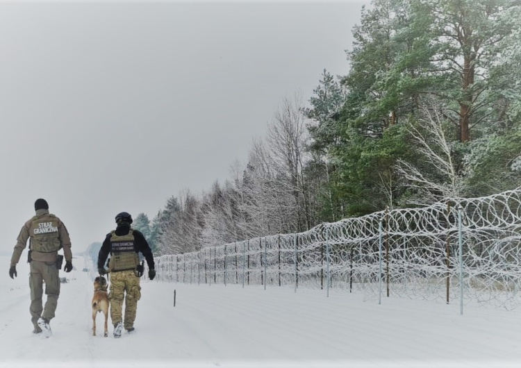 Patrol przy granicy polsko-białoruskiej Ekolodzy w liście do KE chcą „natychmiastowego wstrzymania” budowy zapory na polsko-białoruskiej granicy