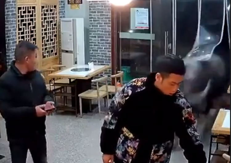 Atak Byka Prawy Sierpowy: [Video-Viral]  Niespodziewany atak byka, brutalne!