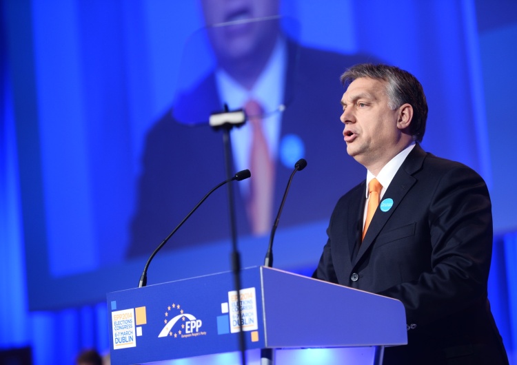 Premier Węgier Viktor Orban [SONDAŻ] Czy Węgrzy uważają Viktora Orbána za dobrego przywódcę? To badanie nie spodoba się liberałom