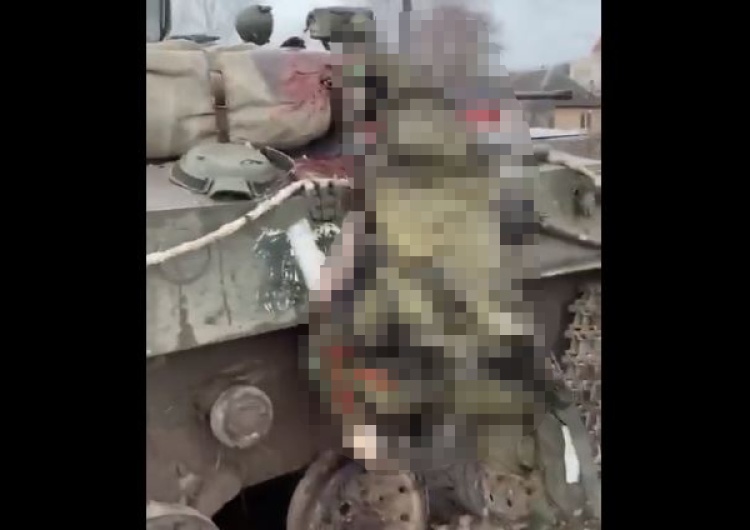  [wideo 18+] Uwaga drastyczne! „Pokonana kolumna najeźdźców”. NEXTA publikuje filmy i zdjęcia z Hostomela