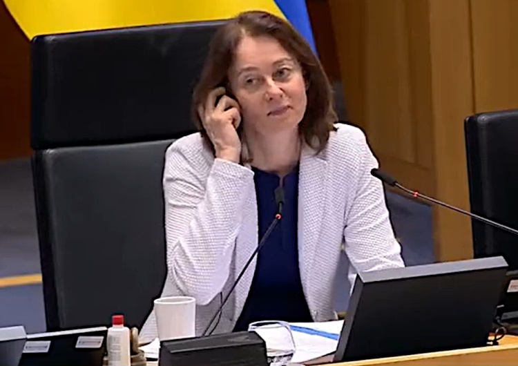 Niemiecka wiceprzewodnicząca PE Katarina Barley Jaki w PE: